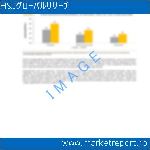 市場と産業調査レポートのイメージ